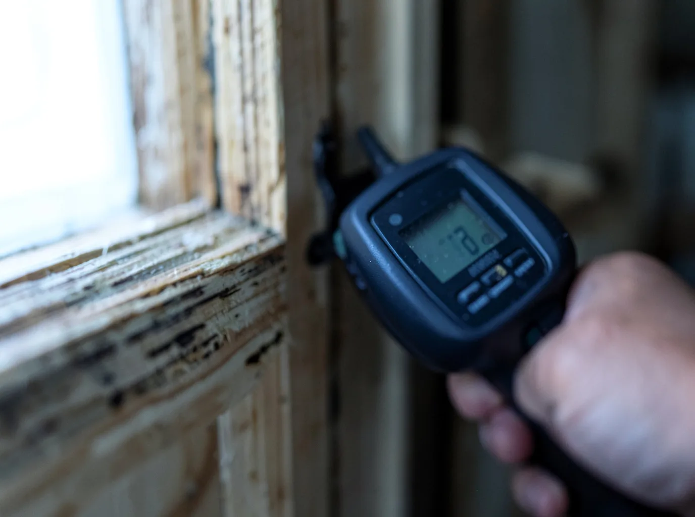 Commercial Water Damage Restoration in Tonopah, AZ